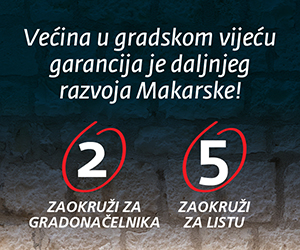 Zoran Paunović
