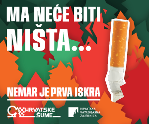 Hrvatske šume